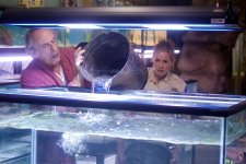 Piranha 3D Movie Photo 24736