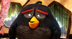 Angry Birds Movie Photo 255548