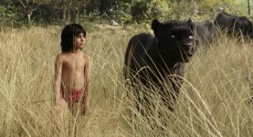 The Jungle Book Movie photos