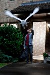 Harry Potter and the Deathly Hallows: Part I Movie photos