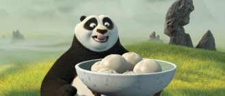 Kung Fu Panda Movie photos