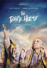 The Dark Horse Movie photos