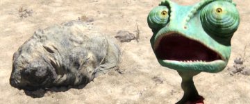 Rango Movie photos