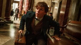 Fantastic Beasts and Where to Find Them Movie photos