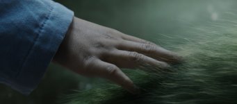 Pete's Dragon Movie photos