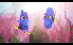 Finding Dory Movie photos