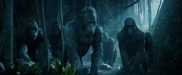 The Legend of Tarzan Movie photos