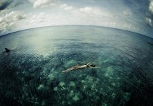 The Shallows Movie photos