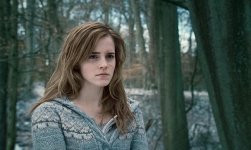 Harry Potter and the Deathly Hallows: Part I Movie photos