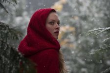 Red Riding Hood Movie photos