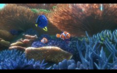 Finding Dory Movie Photo 342893