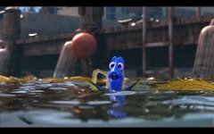 Finding Dory Movie Photo 342894