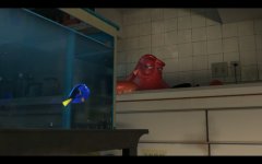 Finding Dory Movie photos