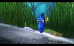 Finding Dory Movie Photo 342896