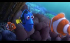 Finding Dory Movie Photo 342897