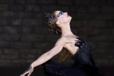 Black Swan Movie Photo 34713