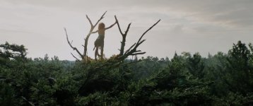 Pete's Dragon Movie photos