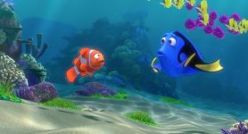 Finding Dory Movie Photo 351054