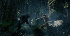 The Legend of Tarzan Movie Photo 351339