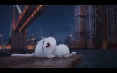 The Secret Life of Pets Movie photos