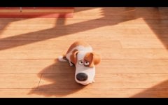 The Secret Life of Pets Movie photos