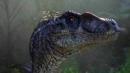 Jurassic Park III Movie photos