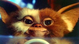 Gremlins Movie Photo 36128