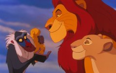 The Lion King Movie photos