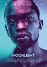 Moonlight Movie photos