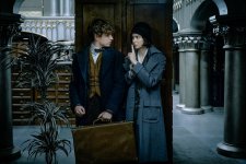 Fantastic Beasts and Where to Find Them Movie Photo 383901