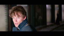 Fantastic Beasts and Where to Find Them Movie Photo 383921