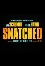 Snatched Movie posters