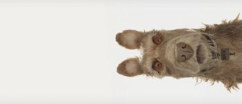 Isle of Dogs Movie Photo 402719