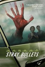 Stray Bullets Movie photos