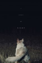 It Comes At Night Movie photos