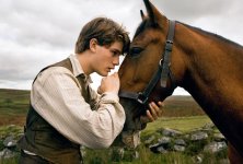 War Horse Movie Photo 41837