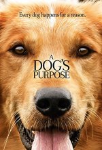 A Dog's Purpose Movie photos