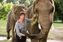 The Zookeeper's Wife Movie photos