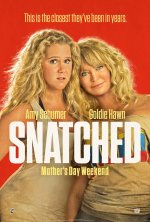 Snatched Movie posters