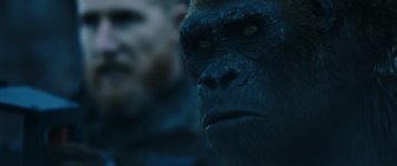 War for the Planet of the Apes Movie photos