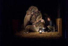 Water for Elephants Movie Photo 44409