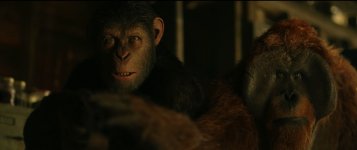 War for the Planet of the Apes Movie Photo 445960