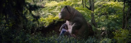 Okja Movie photos