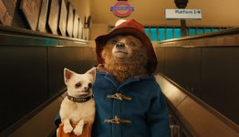 Paddington 2 Movie photos