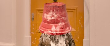 Paddington 2 Movie photos