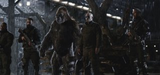 War for the Planet of the Apes Movie Photo 456115