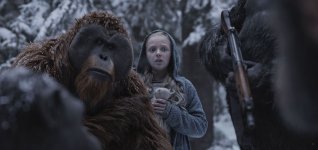 War for the Planet of the Apes Movie Photo 456118