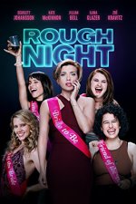 Rough Night Movie photos