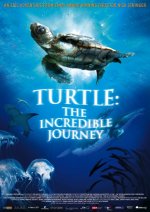 Turtle: The Incredible Journey Movie photos