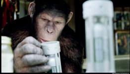 Rise of the Planet of the Apes Movie photos